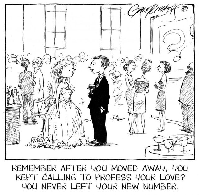 Funny Wedding Cartoons (15 pics)