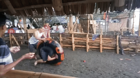 Acid Gifdump, July 09, 2018 (25 gifs)