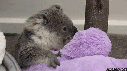 Acid Gifdump, July 09, 2018 (25 gifs)