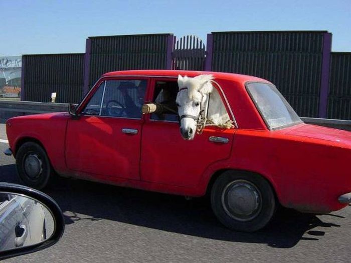 Acid Picdump (90 pics)