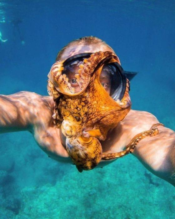 Acid Picdump (90 pics)