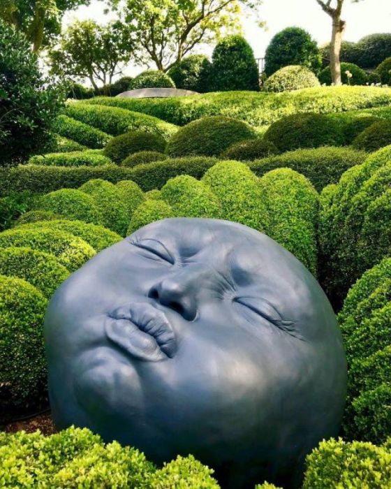 Acid Picdump (90 pics)