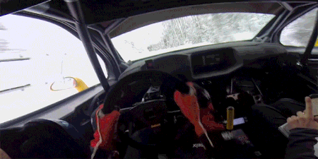 Close Calls (17 gifs)