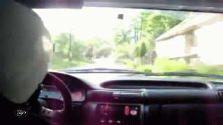 Close Calls (17 gifs)