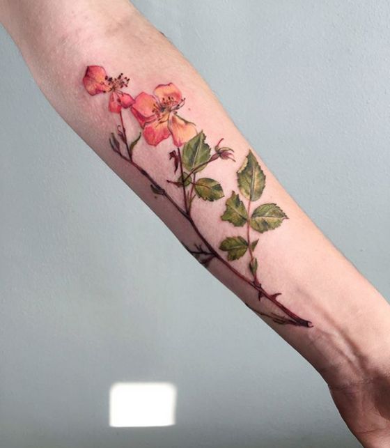 Nature-Inspired Tattoos (23 pics)