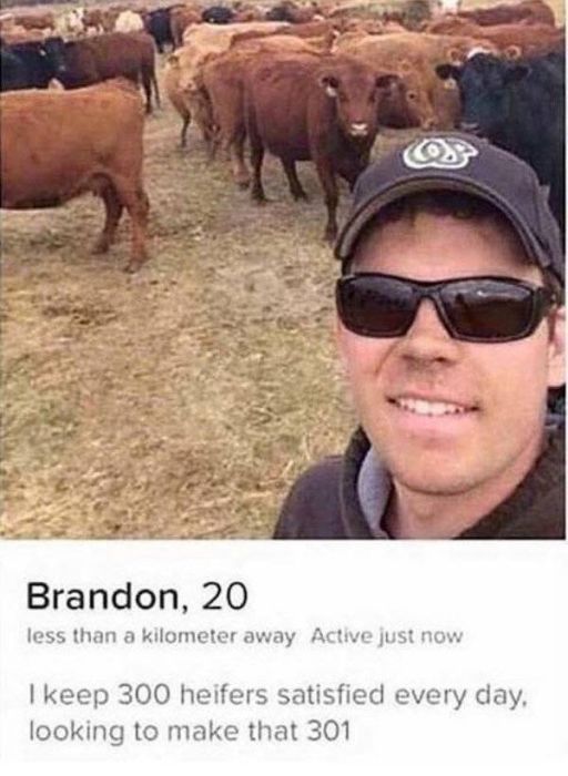 Only On Tinder (30 pics)