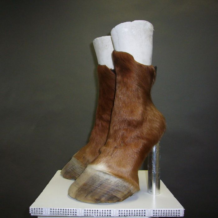 Ugly Shoes (20 pics)