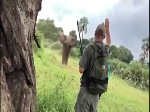 Man Stops Charging Elephant