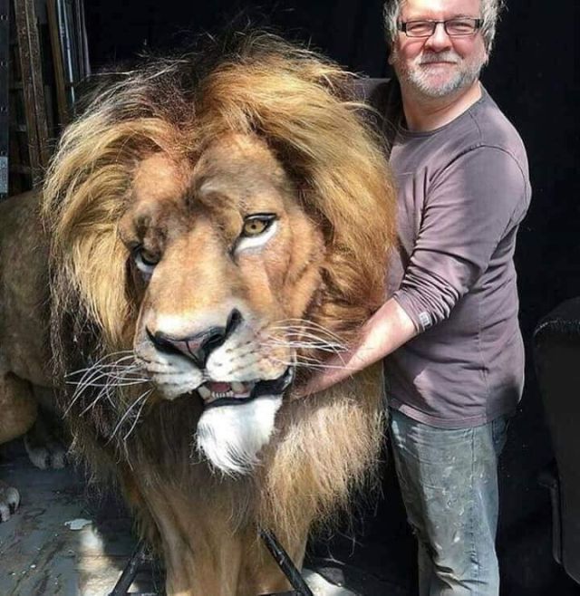 Mufasa Animatronic Model From Live Action Lion King Remake (4 pics)