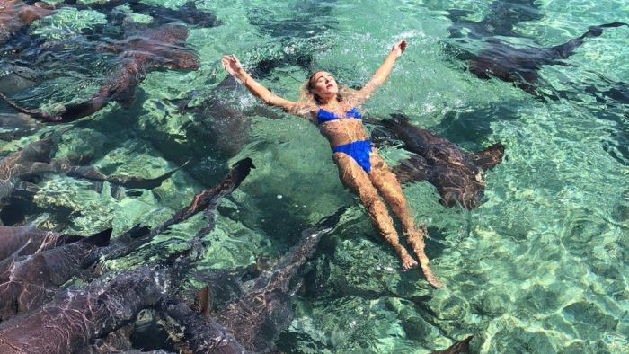 Model Bitten by Shark While Taking Photos in Bahamas (5 pics)