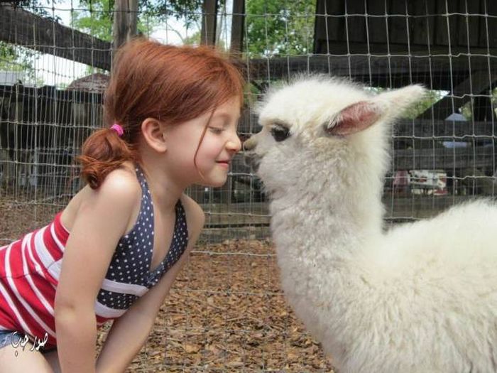 Acid Picdump (93 pics)