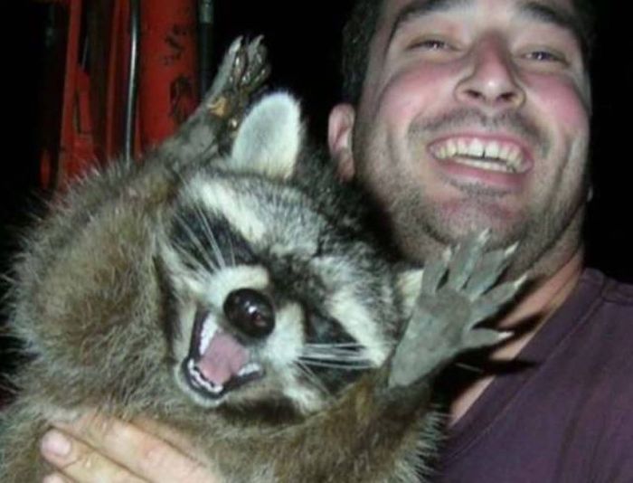 Acid Picdump (93 pics)