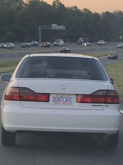 Acid Picdump (93 pics)