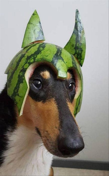 Acid Picdump (93 pics)