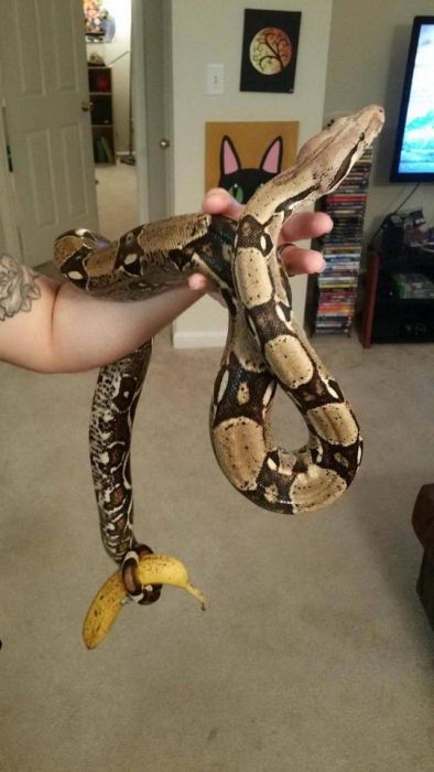 Acid Picdump (93 pics)
