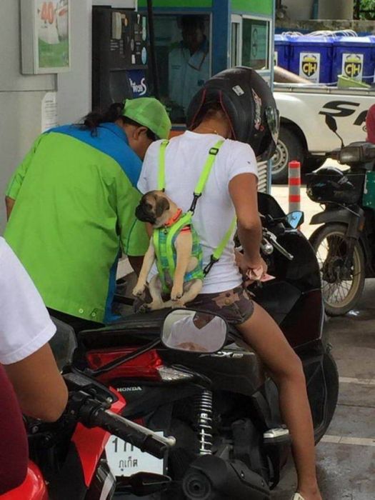 Acid Picdump (93 pics)