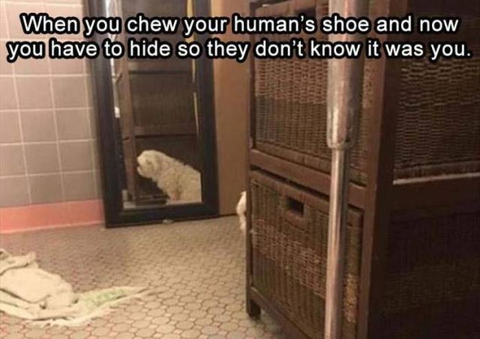 Acid Picdump (93 pics)