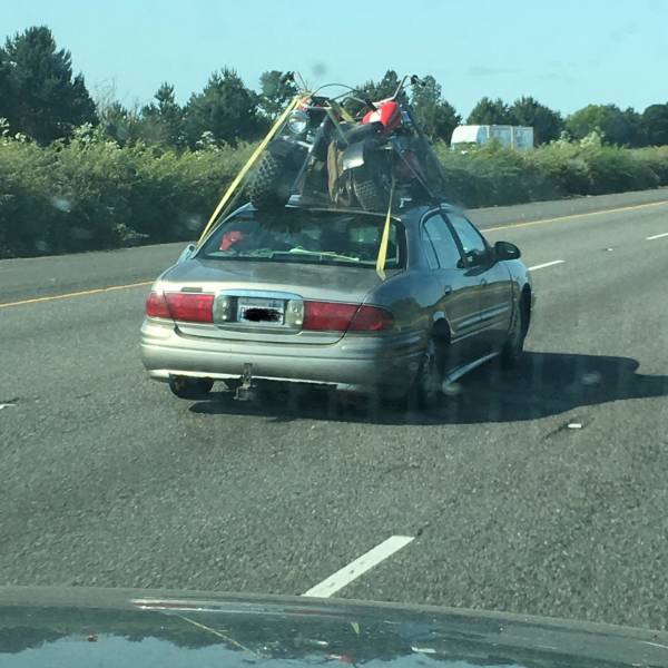 Acid Picdump (93 pics)