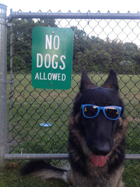 Acid Picdump (93 pics)