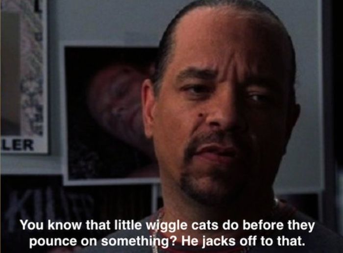 The Wild Sh*t Ice-T Has Seen on SVU (28 pics)