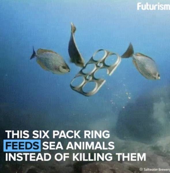 Things You Probably Have Never Seen Or Known Before (20 pics)