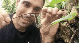 Things You Probably Have Never Seen Or Known Before (20 pics)