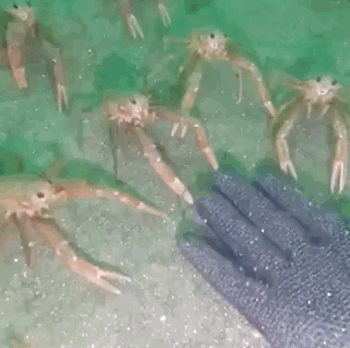 Things You Probably Have Never Seen Or Known Before (20 pics)