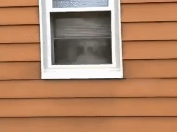 I'm Watching You!