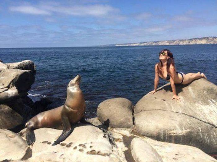 Funny And Interesting Animal Photos (55 pics)