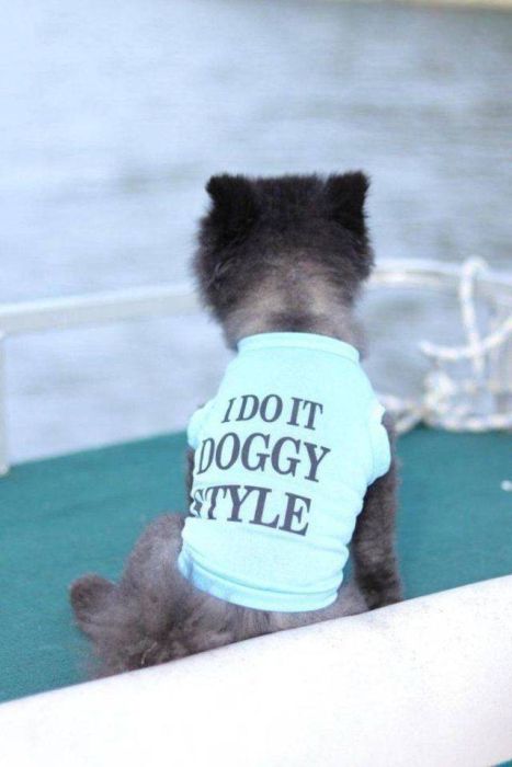Funny And Interesting Animal Photos (55 pics)
