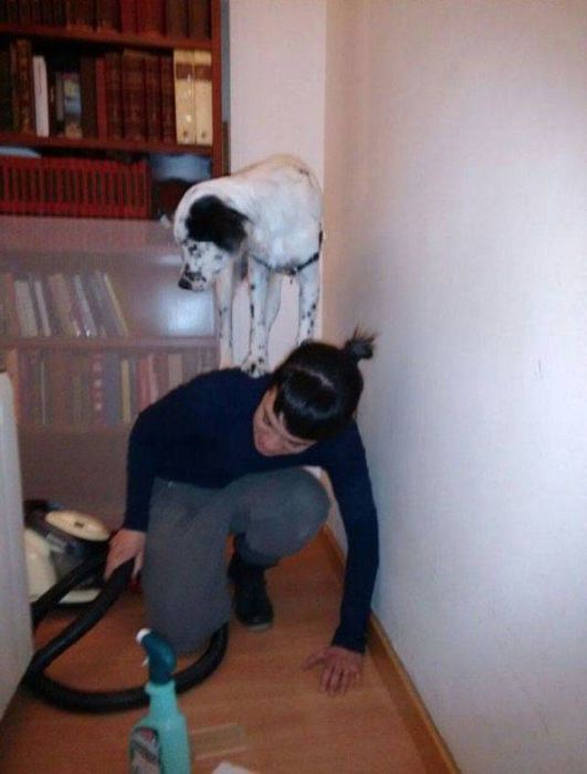 Funny And Interesting Animal Photos (55 pics)
