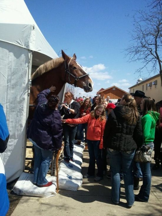 jake horse highest friends