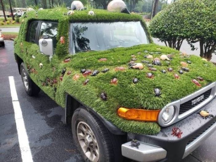 Unusual Cars (43 pics)