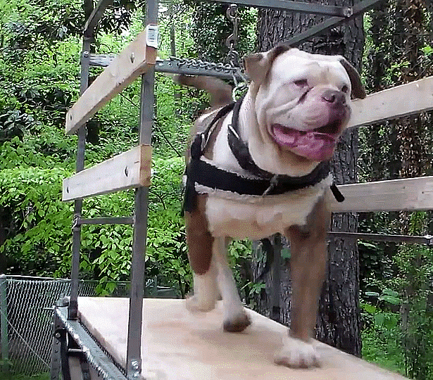 Acid Gifdump, July 16, 2018 (25 gifs)