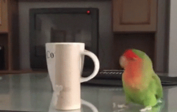 Acid Gifdump, July 16, 2018 (25 gifs)