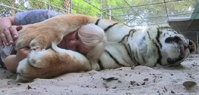 Acid Gifdump, July 16, 2018 (25 gifs)