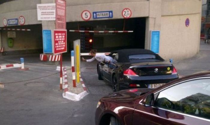 When  Girls Drive (30 pics)