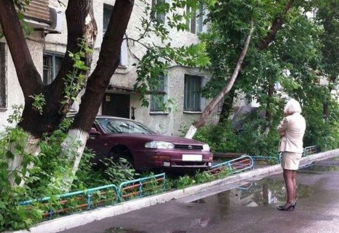 When  Girls Drive (30 pics)