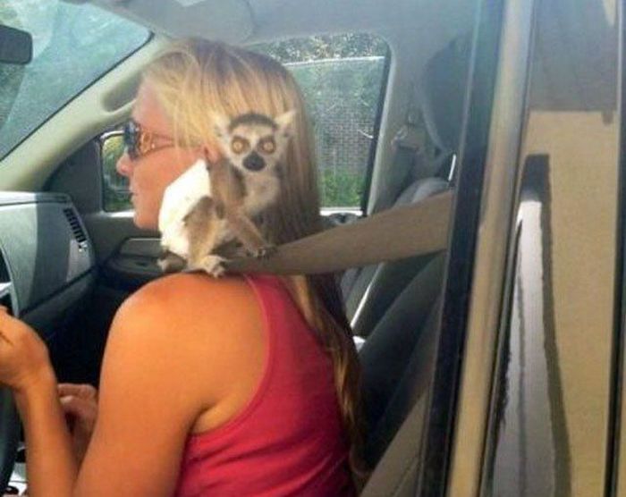 When  Girls Drive (30 pics)