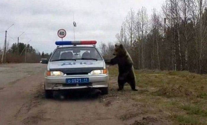 Welcome To Russia (36 pics)