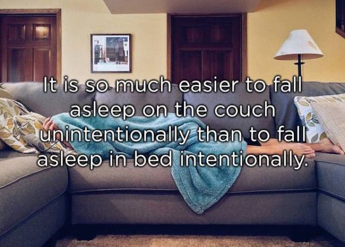 Shower Thoughts (20 pics)