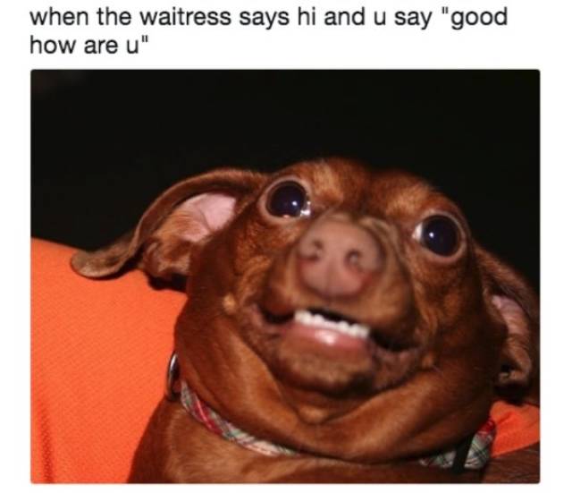 So True (49 pics)