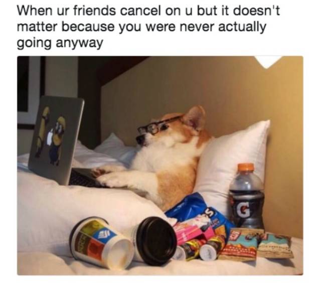 So True (49 pics)