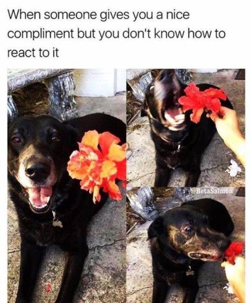 So True (49 pics)