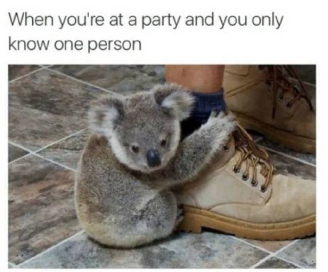 So True (49 pics)