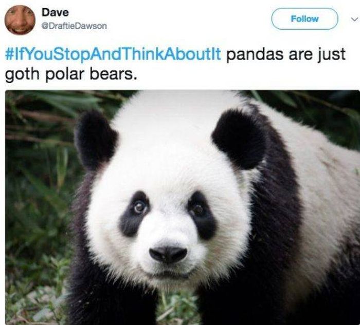 If You Stop And Think About It (13 pics)