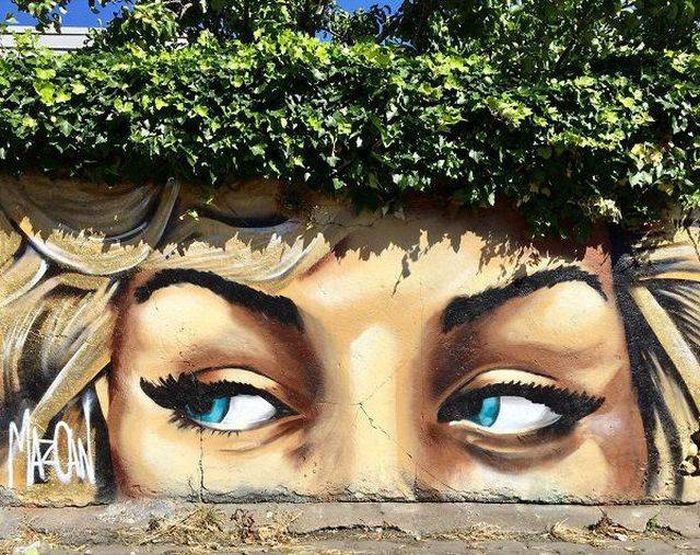 Street Art (25 pics)