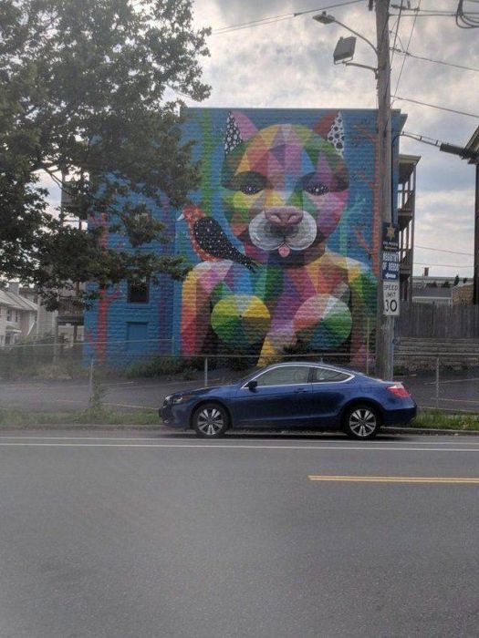 Street Art (25 pics)