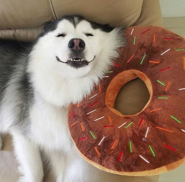When A Picture Says More Than Just A Thousand Words (54 pics)