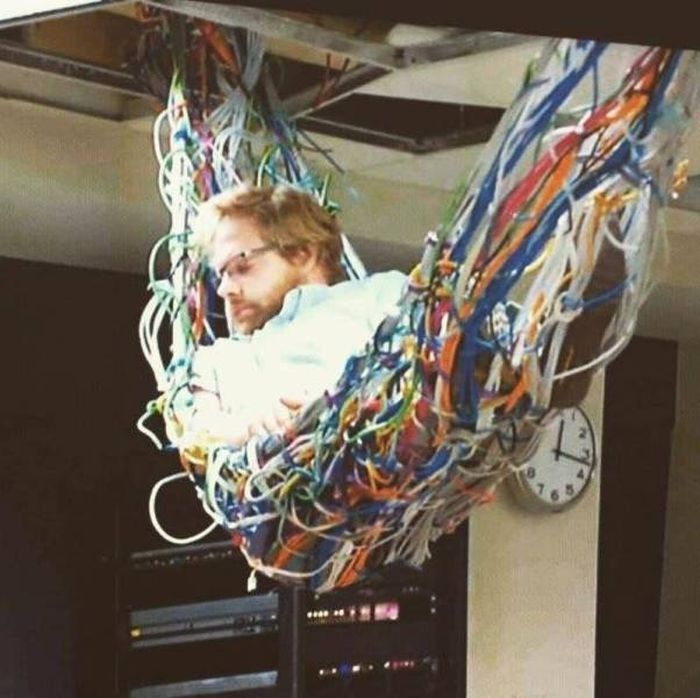 WTF Photos (39 pics)